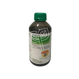 PIXXARO CORTEVA - LT 1